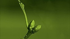 Venture Capital Espa&ntilde;a - Anual 2014